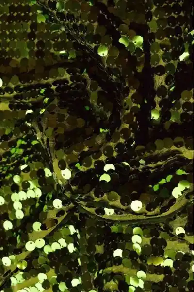 XL Pailletten - Mosgroen Koopje