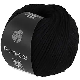 Veilige Betaling Lana Grossa Promessa kl.24