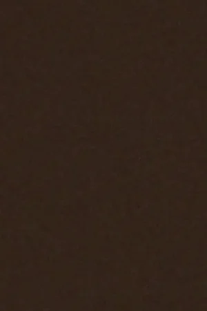 Vilt Lapje Kleur 3678 1 mm (20x30 cm) Speciale Aanbieding