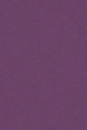 Vilt Lapje Kleur 3684 1 mm (20x30 cm) Superprijs