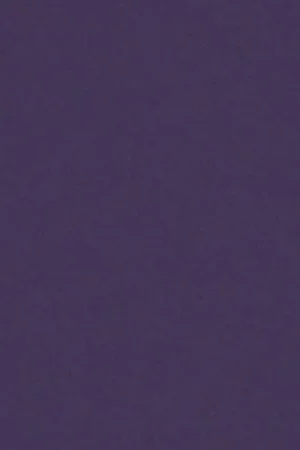 Vilt Lapje Kleur 3689 1 mm (20x30 cm) Beperkt Aanbod