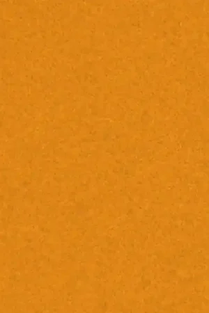 Vilt Lapje Kleur 3699 1 mm (20x30 cm) Superprijs