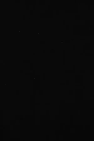 Viscose Stretch Rosella Zwart Seizoensaanbieding