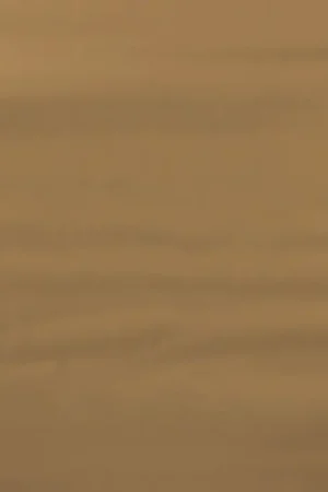 Viscose Satijn Camel Weekendaanbieding