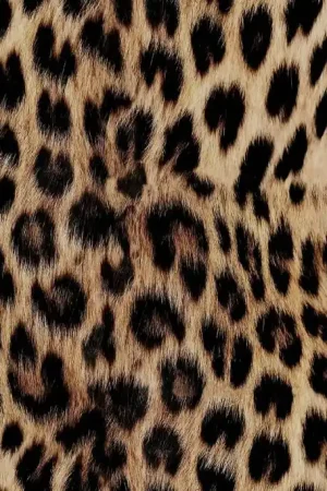 Voordeelprijs Aqua Protect Waterdicht Panter