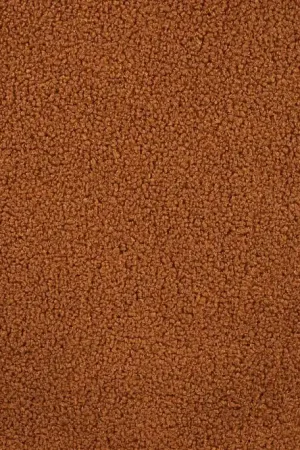 Voordeelprijs Teddy Polyester Soft Cloudy Bruin