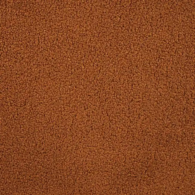 Voordeelprijs Teddy Polyester Soft Cloudy Bruin