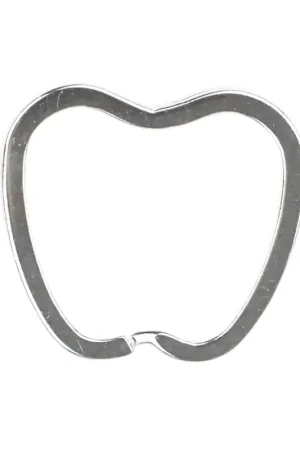 Alleen Vandaag Sleutelring Apple