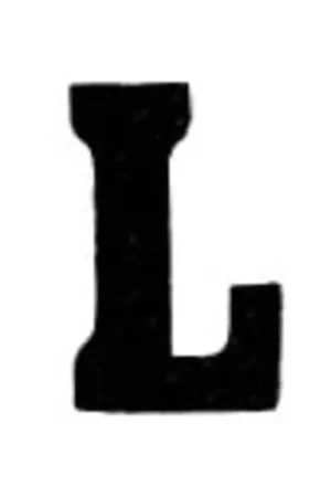 Applicatie Flockletter 3.5cm Snelle Levering