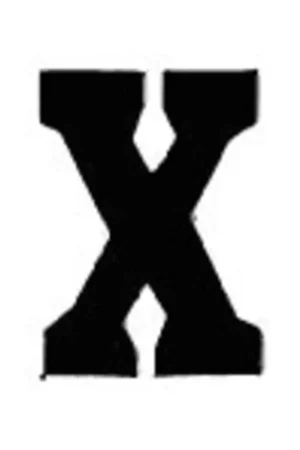 Applicatie Flockletter 3.5cm Goedkoop