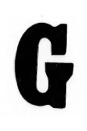 Applicatie Flockletter 3.5cm Express Levering