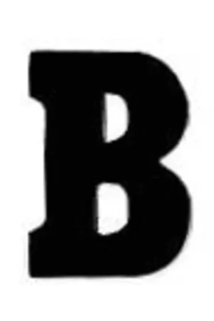 Applicatie Flockletter 3.5cm Direct Beschikbaar