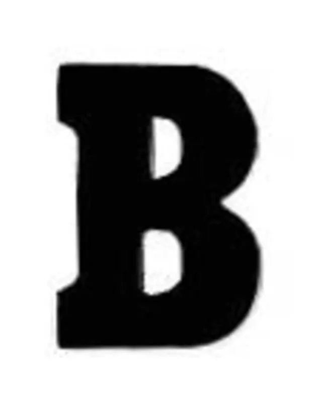 Applicatie Flockletter 3.5cm Direct Beschikbaar