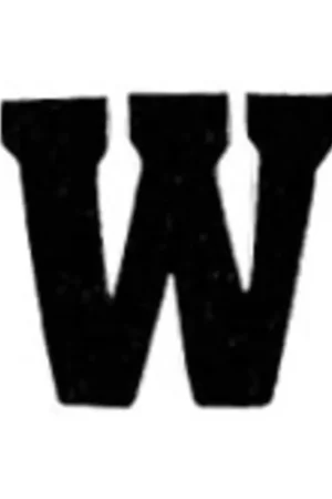 Applicatie Flockletter 3.5cm Bestseller