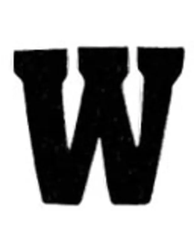 Applicatie Flockletter 3.5cm Bestseller