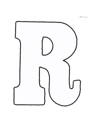 Applicatie Flockletter 3.5cm Nieuw