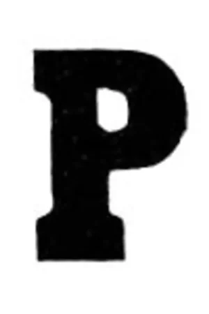 Applicatie Flockletter 3.5cm Lage Prijs