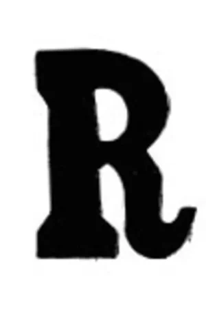 Aanbieding Applicatie Flockletter 3.5cm