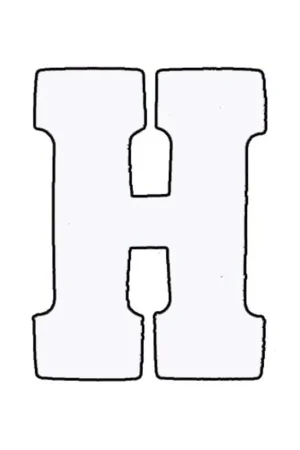 Applicatie Flockletter 3.5cm Superprijs