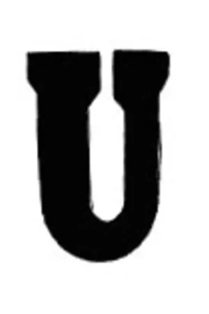 Applicatie Flockletter 3.5cm Nu Kopen