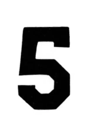 Applicatie Flockcijfers 6cm Laatste Versie