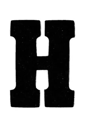 Applicatie Flockletter 6cm Finale Uitverkoop