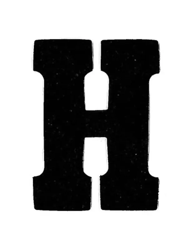 Applicatie Flockletter 6cm Finale Uitverkoop