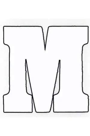 Applicatie Flockletter 6cm Shop Nu