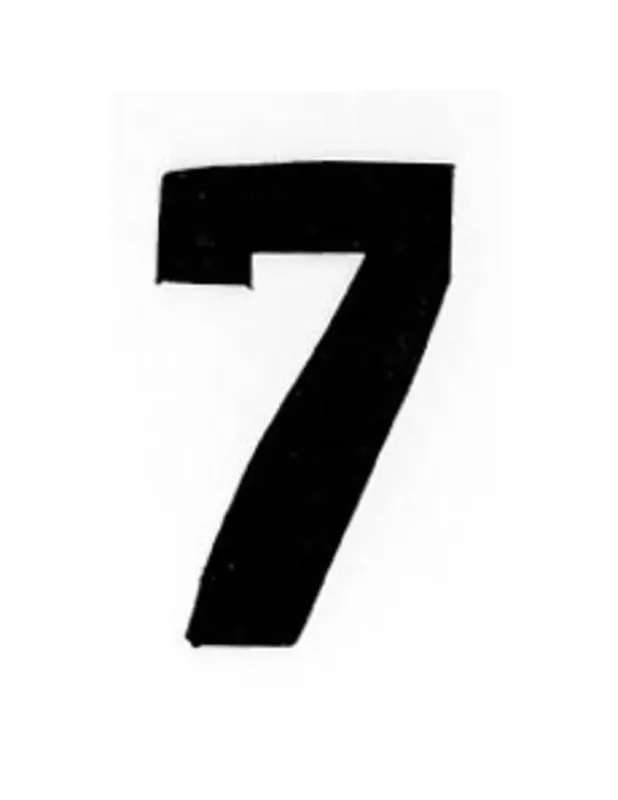 Applicatie Flockcijfers 6cm Gratis Verzending