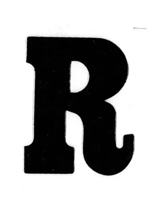 Applicatie Flockletter 6cm Gratis Verzending