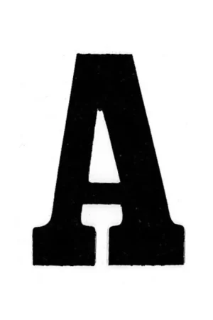 Applicatie Flockletter 6cm Bestseller