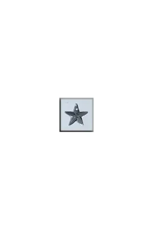 Glass Treasures 5 Pointed Star-Crystal - Mill Hill Koop Vandaag