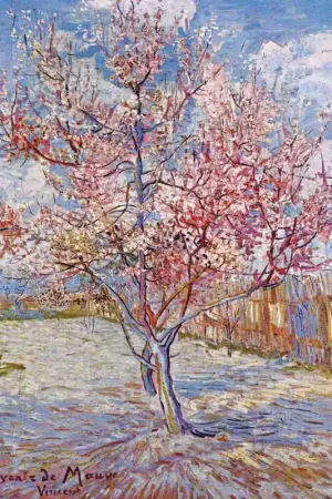 Gecertificeerd De roze perzikboom Van Gogh Diamond Painting - vierkant / 40x50