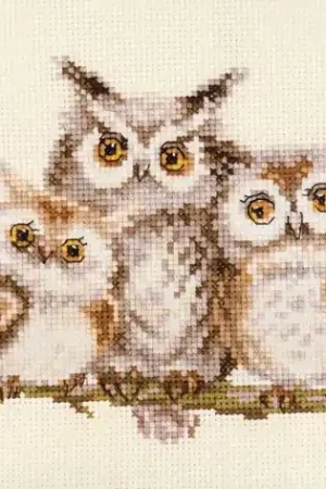 Laatste Kans Alisa Owls borduren (pakket) 0-210