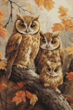 Voordeelprijs Luca-S The Owls Family borduren (pakket) BU5045