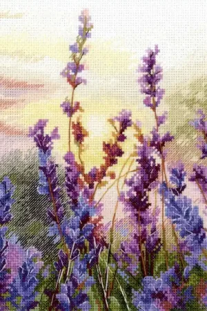 MP Studia Blooming lavender Laatste Versie