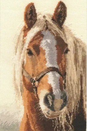 Alisa Adel borduren (pakket) 1-17 Betaalbaar