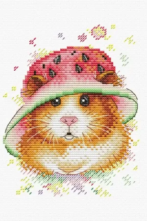 MP Studia Watermelon Happiness M-222 borduren (pakket) Fabrieksprijs