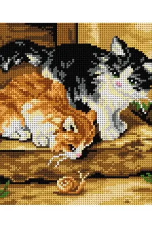 Orchidea Alfred Brunel de Neuville Suprise M2913 voorbedrukt Needlepoint borduren Veilige Betaling