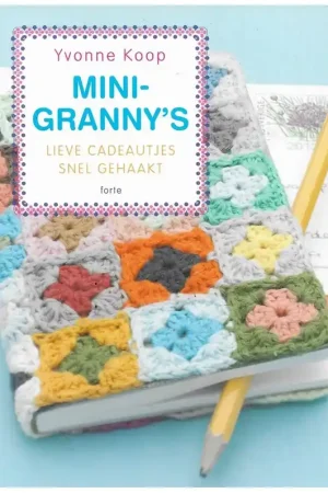 Speciale Aanbieding Boek: Mini granny’s