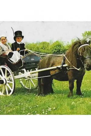 Alleen Vandaag Textielkaart Friesland