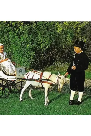 Gratis Verzending Textielkaart Friesland