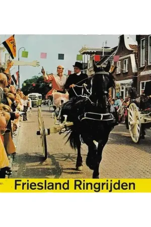 Textielkaart Friesland Beste Prijs