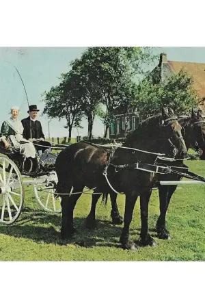 Shop Nu Textielkaart Friesland