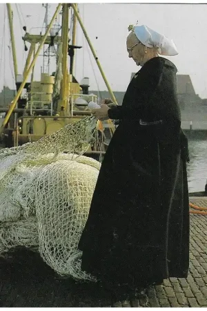 Beperkt Aanbod Ansichtkaart Scheveningen