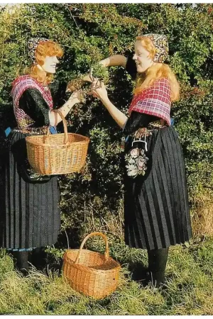 Ansichtkaart Staphorst Betrouwbaar