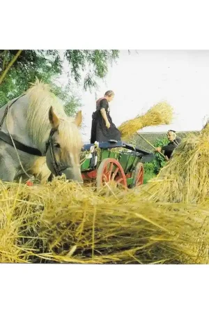 Ansichtkaart: Rogge maaien Gecertificeerd