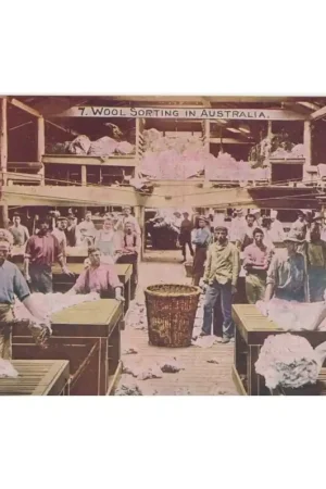 Favoriet Textielkaart: Wool sorting Australia