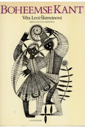 Beperkt Aanbod Boek: Boheemse kant