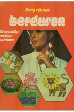 Boek: Bezig zijn met borduren Lage Kosten